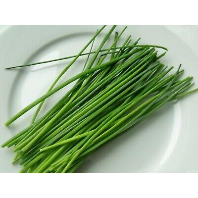 Country Value Price Band A Fresh Mild Onion Flavour Chives Vegetable Seeds Green Pack of 370-Seeds