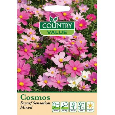 Country Value Price Band A Sensation Mixed Cosmos Flower Seeds Assorted Colours Growth up to 90 to 120cm Pack of 150-Seeds