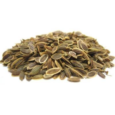 Country Value Price Band A Easily Grown Unique Flavour Dill Vegetable Seeds Multicolour Growth up to 75cm Pack of 500-Seeds