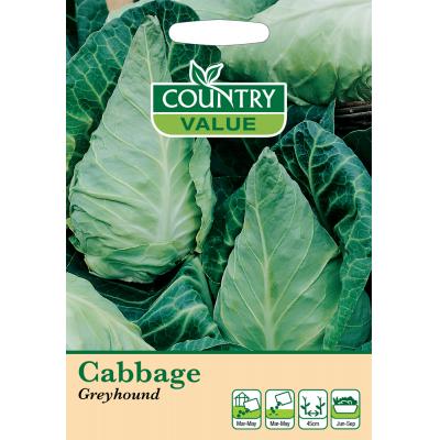 Country Value Price Band A Greyhound Cabbage Vegetable Seeds Green Pack of 400-Seeds
