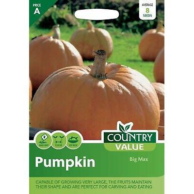 Country Value Price Band A Big Max Pumpkin Vegetable Seeds Multicolour Pack of 8-Seeds