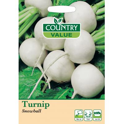 Country Value Price Band A Mild and Sweet Traditional Flavour Snowball Turnip Vegetable Seeds Green and White Pack of 1000-Seeds