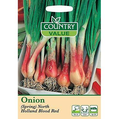 Country Value Price Band A Colourful and Mild Tasting Spring  North Holland Onion Vegetable Seeds Multicolour Pack of 250-Seeds