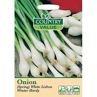 Country Value Price Band A Spring White Lisbon Winter Hardy Onion Vegetable Seeds Multicolour Pack of 350-Seeds