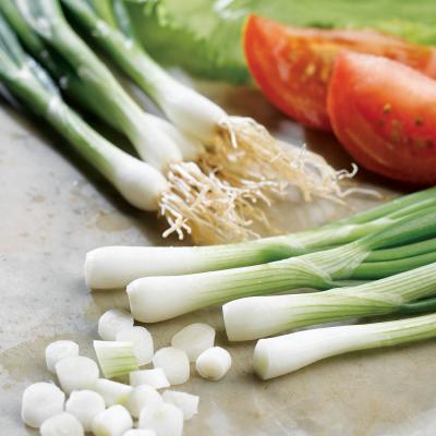 Country Value Price Band A Spring White Lisbon Winter Hardy Onion Vegetable Seeds Multicolour Pack of 350-Seeds
