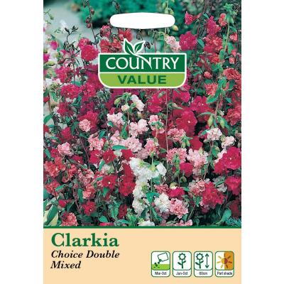 Country Value Price Band A Choice Double Mixed Clarkia Flowers Seeds Assorted Colours Growth up to 60cm Pack of 1000-Seeds