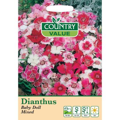 Country Value Price Band A Baby Doll Mixed Dianthus Flower Seeds Assorted Colour Growth up to 20cm Pack of 70-Seeds 
