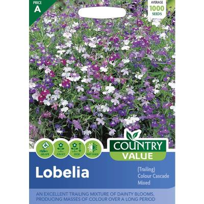 Country Value Price Band A Trailing Colour Cascade Mixed Lobelia Flower Seeds Assorted Growth Up to 30cm Pack of 1000-Seeds