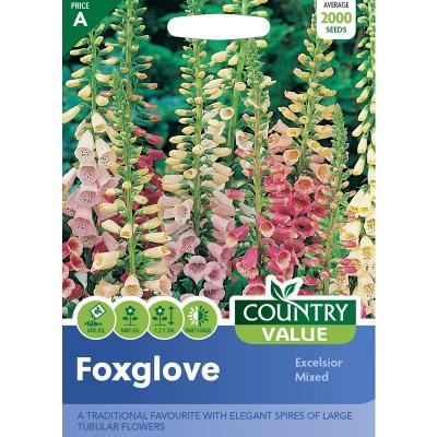 Country Value Price Band A Excelsior Mixed Foxglove Flower Seeds Assorted Growth up to 1.5Mtr Pack of 2000-Seeds