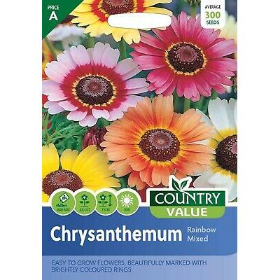 Country Value Price Band A Rainbow Mixed Chrysanthemum Flower Seeds Assorted Colours Growth up to 75cm Pack of 300-Seeds