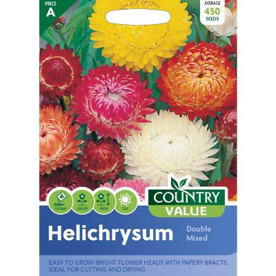 Country Value Price Band A Double Mixed Helichrysum Flower Seeds Assorted Colours Growth up to 90cm Pack of 450-Seeds