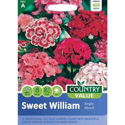 Country Value Price Band A Single Mixed Sweet William Flower Seeds Assorted Colours Growth up to 45cm Pack of 400-Seeds