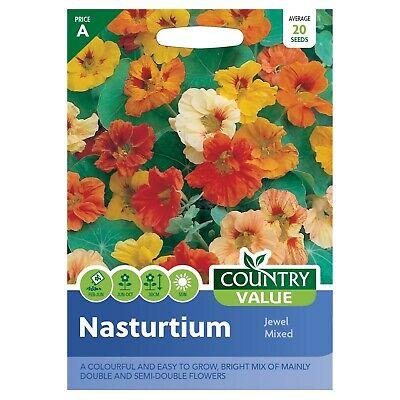 Country Value Price Band A Easy to Grow Jewel Mixed Nasturtium Flower Seeds Assorted Colours Growth up to 30cm Pack of 20-Seeds