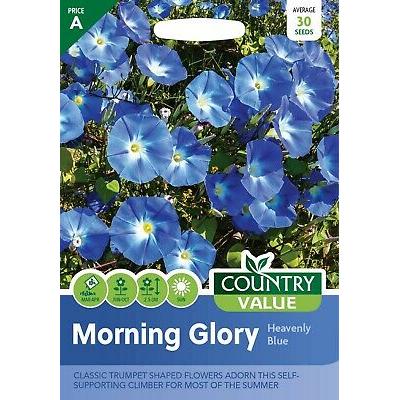 Country Value Price Band A Classic Trumpet Shaped Morning Glory Flower Seeds Heavenly Blue Growth up to 3Mtr Pack of 30-Seeds