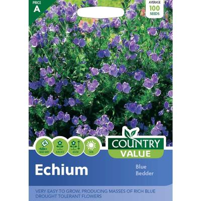 Country Value Price Band A Easy to Grow Blue Bedder Echium Flower Seeds Growth up to 45cm Pack of 100-Seeds