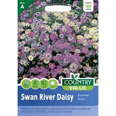 Country Value Price Band A Easy to Grow Summer Skies Swan River Daisy Flower Seeds Assorted Colours Growth up to 25cm Pack of 100-Seeds