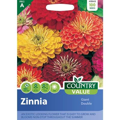 Country Value Price Band A Easy To Grow Giant Double Zinnia Flower Seeds Assorted Colours Growth up to 75cm Pack of 100-Seeds