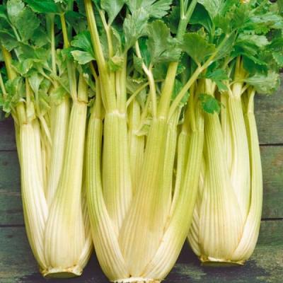 Country Value Price Band A Golden Self Blanching 3 Celery Vegetable Seeds Multicolour Pack of 600-Seeds